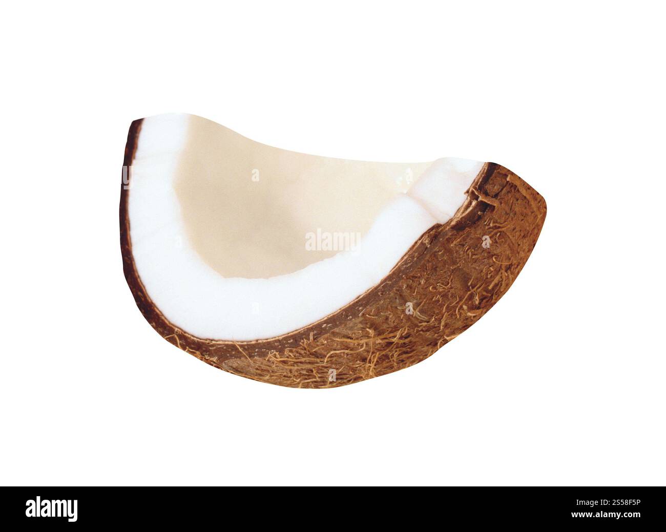 Coconut piece isolated on white Stock Photo