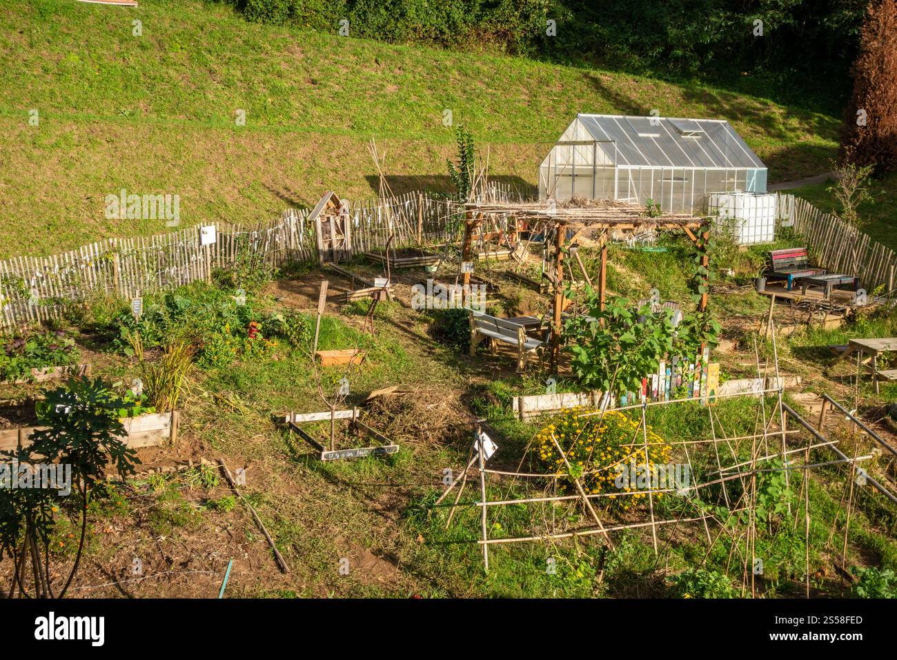 Small greenhouse in a green vegetable garden. Greenhouse in a vegetable ...
