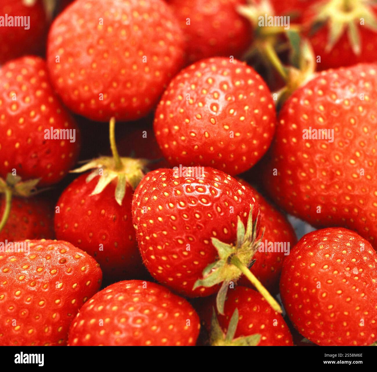 close up fresh strawberry background. fresh strawberry background Stock ...