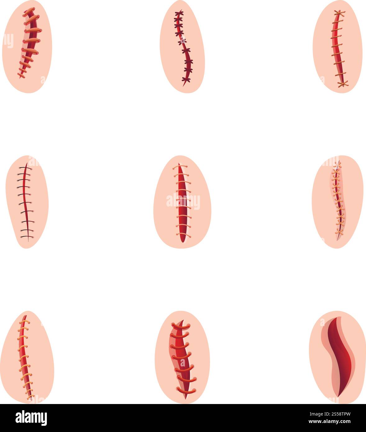 Suture icon set. Cartoon set of 9 suture vector icons for web design ...