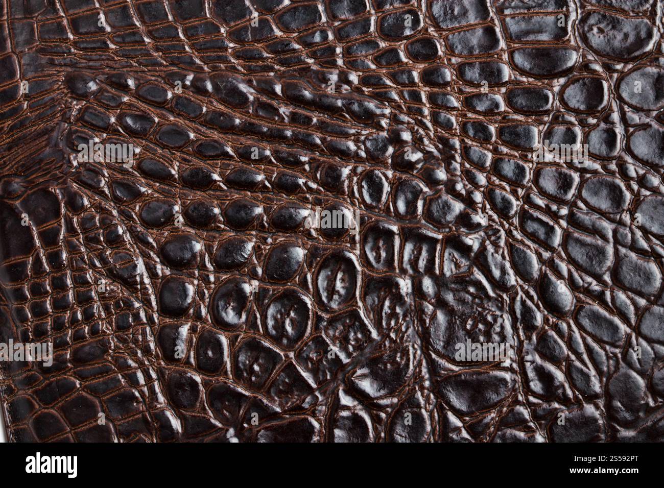 Crocodile skin texture or background. Crocodile skin texture Stock ...