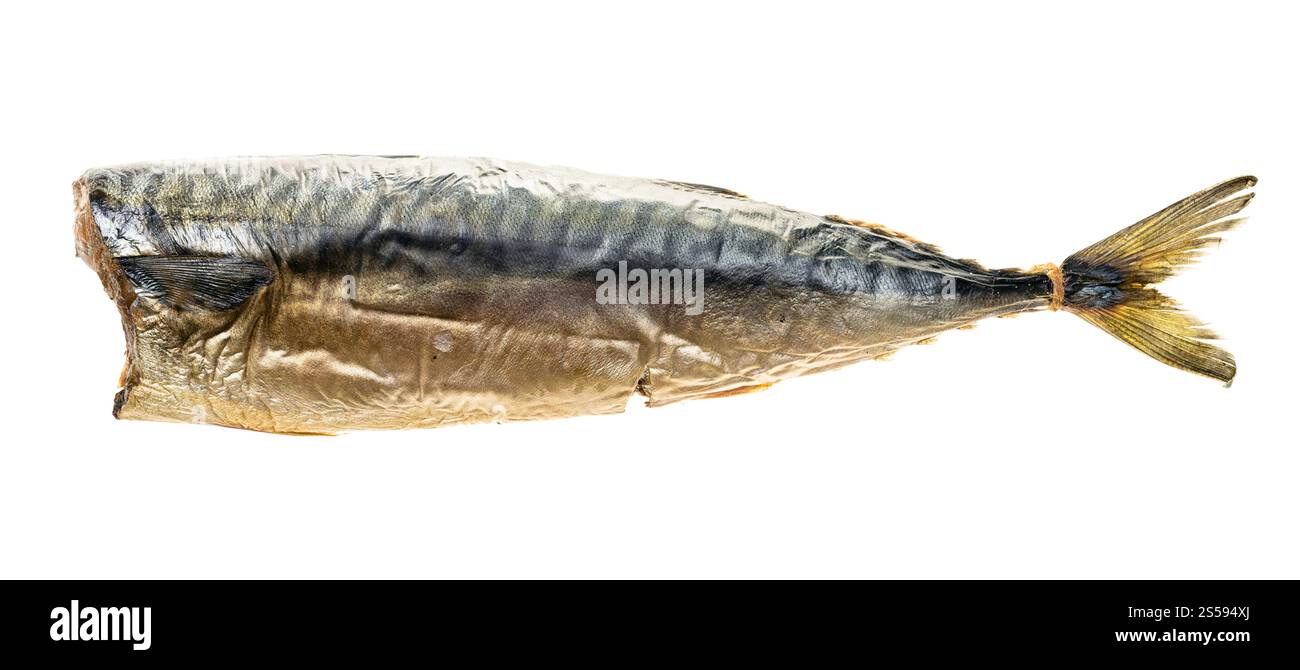 hot smoked headless mackerel isolated on white background Stock Photo