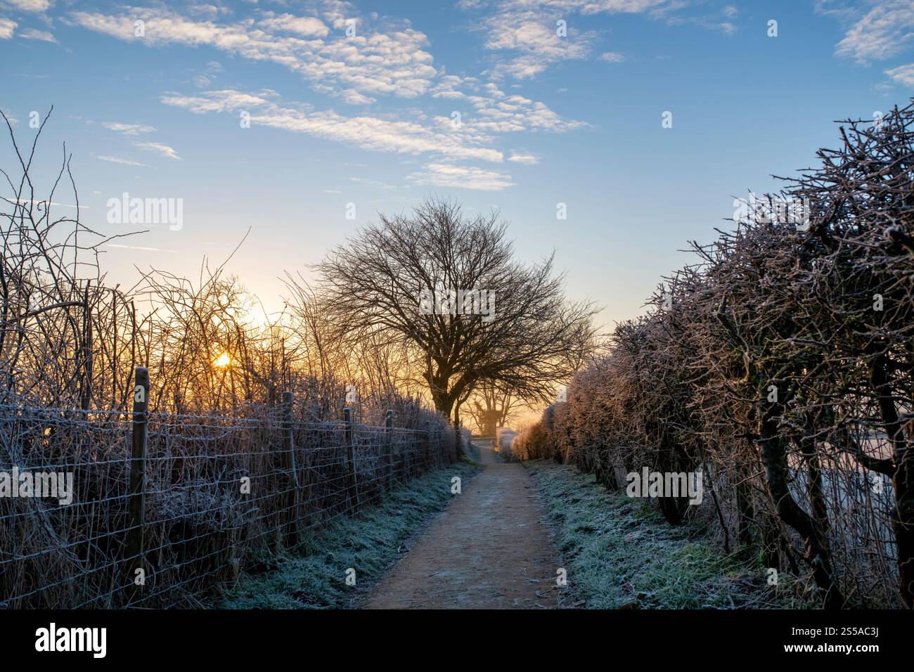 Frosty winter sunrise on the Cotswold Way. Chipping Campden, Gloucestershire, Cotswolds, England Stock Photo