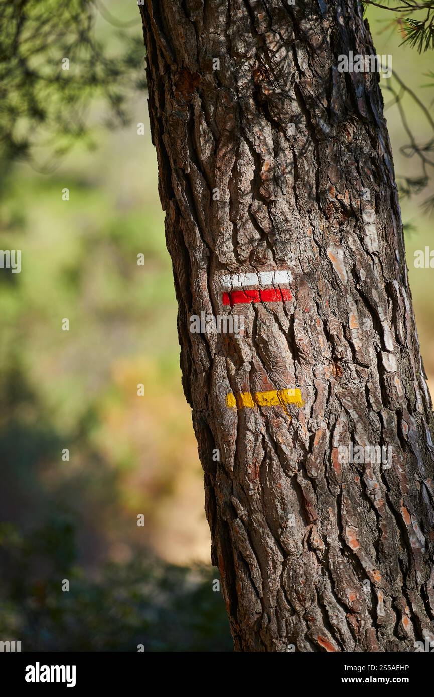 Le Tholonnet (south-eastern France): trail blazes. Long-distance hike