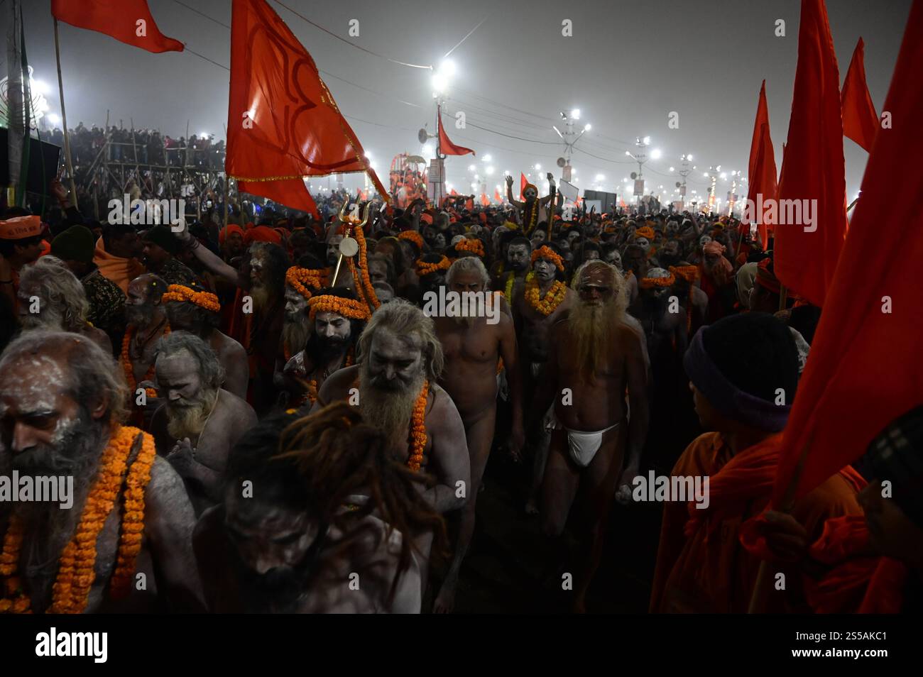 prayagraj-uttar-pradesh-india-14th-jan-2025-prayagraj-sadhus