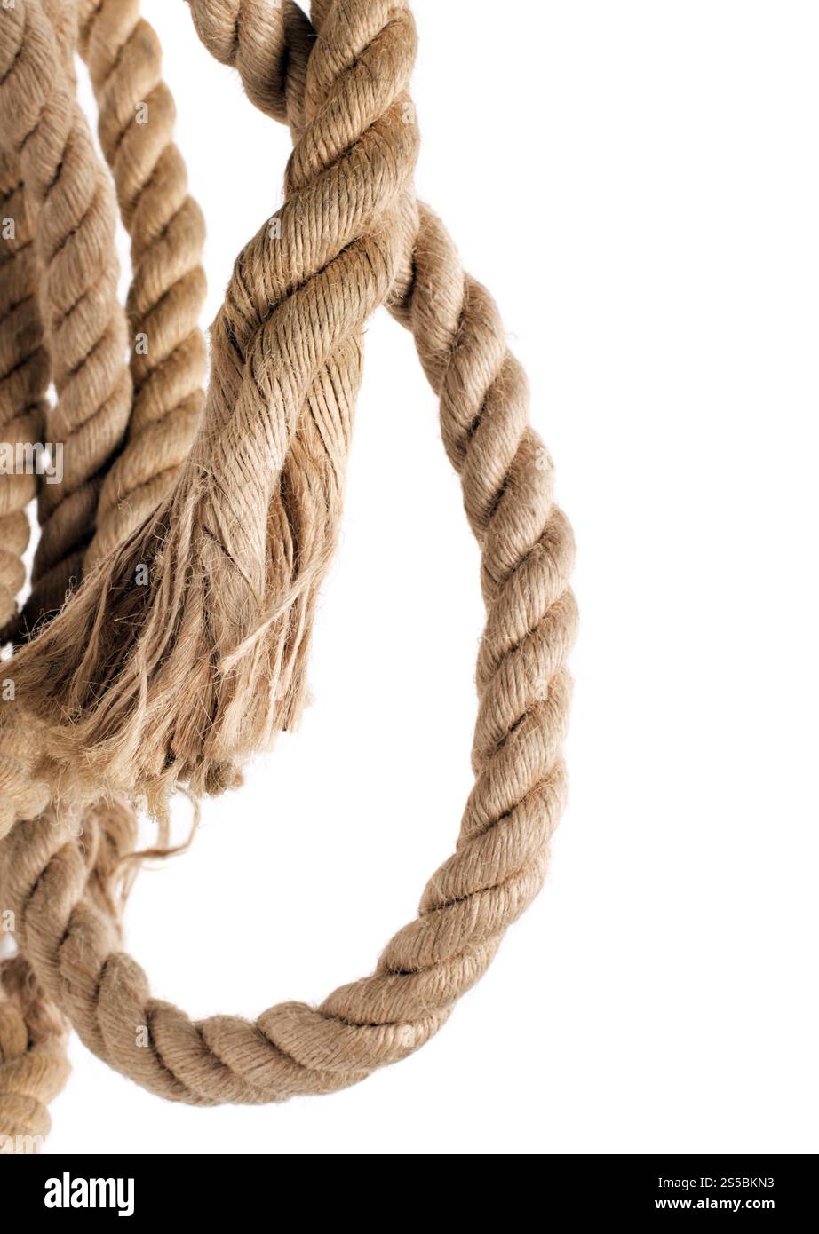 ship rope and knot isolated on a white background. ship rope and knot ...
