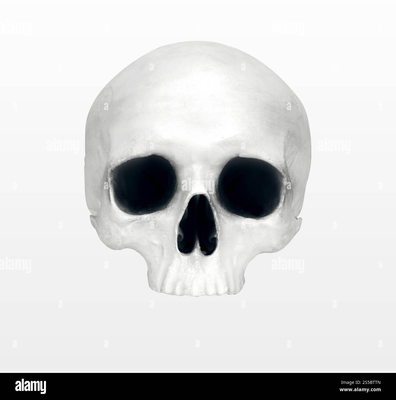 Skeleton and head laugh hi-res stock photography and images - Alamy