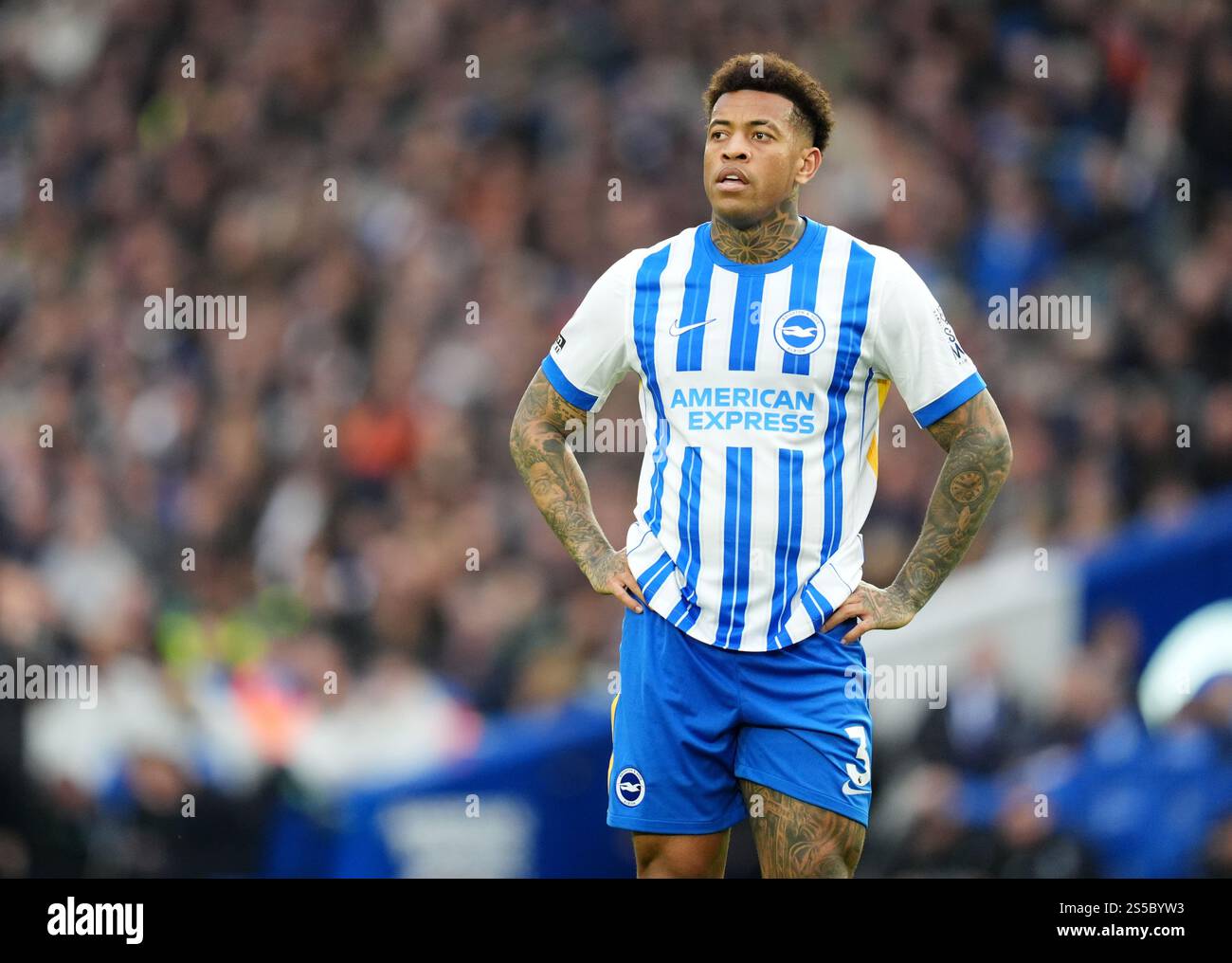 Igor julio brighton 2025 hi-res stock photography and images - Alamy