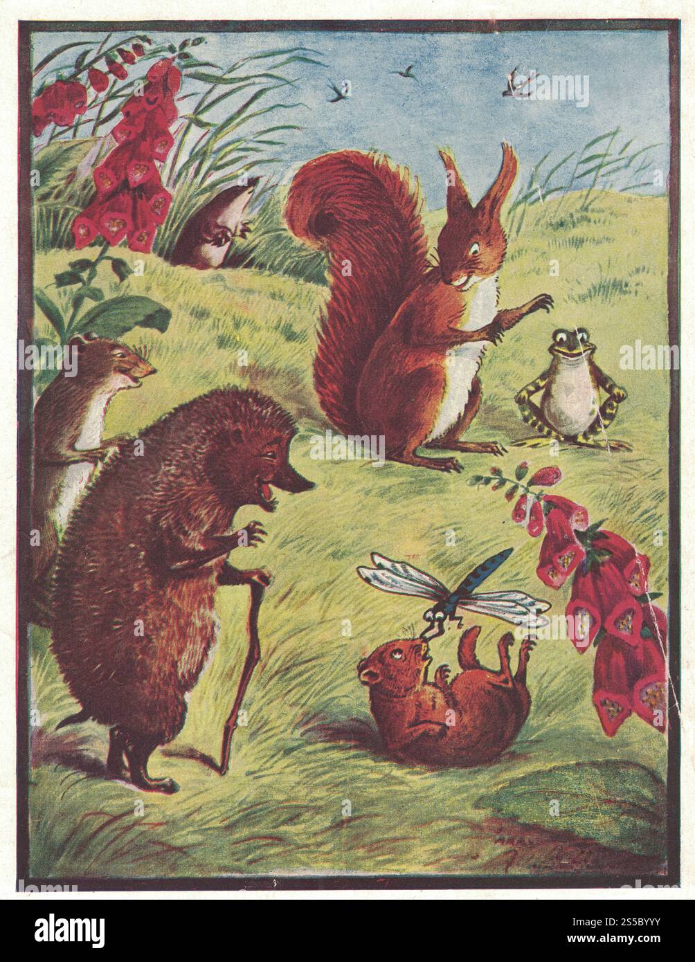 Colorful antique illustration shows an animal family - hedgehog ...