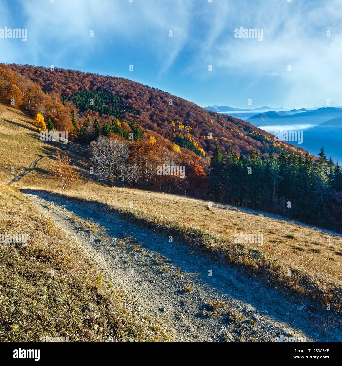 Rural road in autumn mountain, colorful forest on slope and clouds between the peaks. Stock Photo