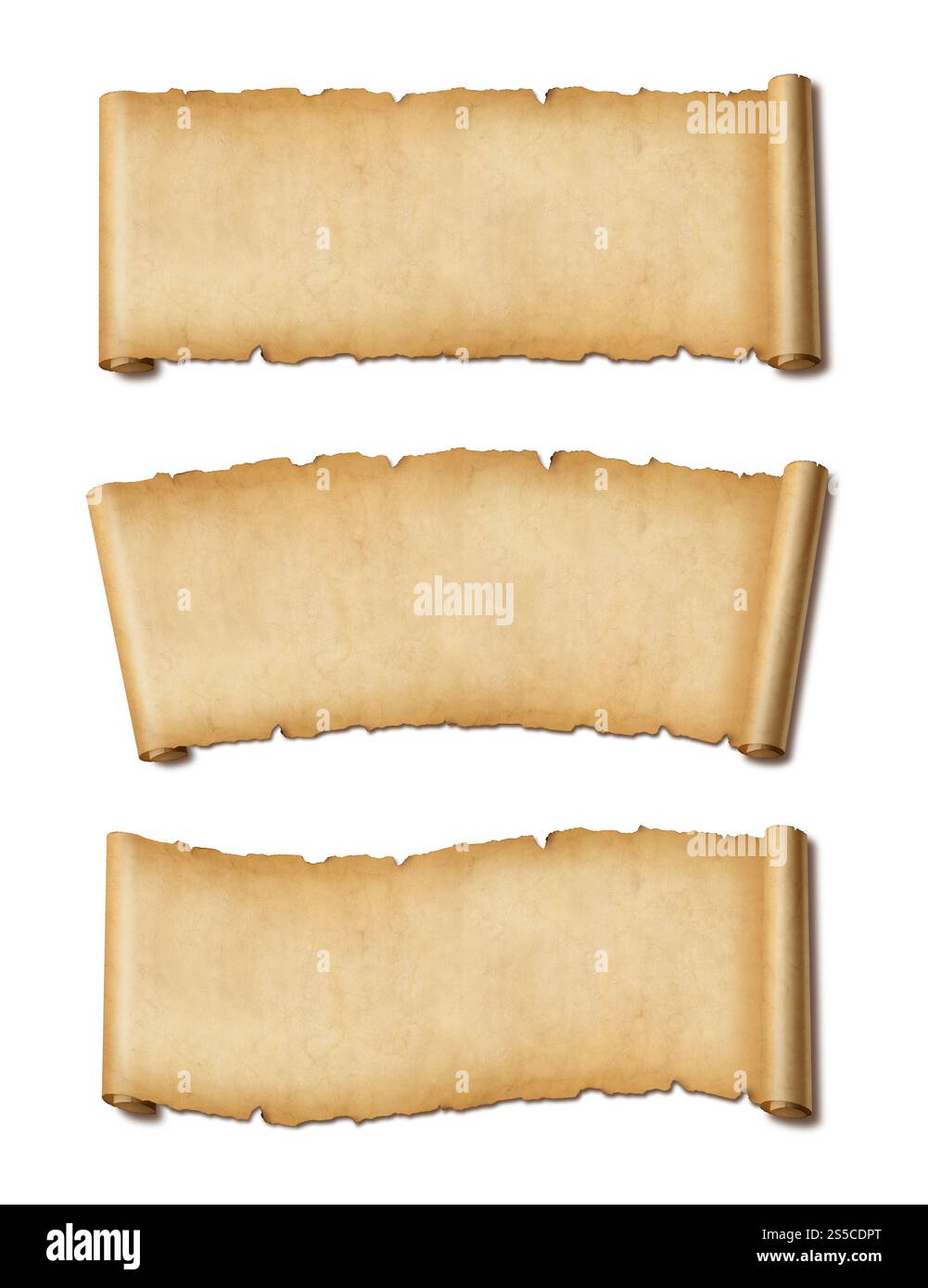 Old Parchment paper scroll isolated on white with shadow. Horizontal ...