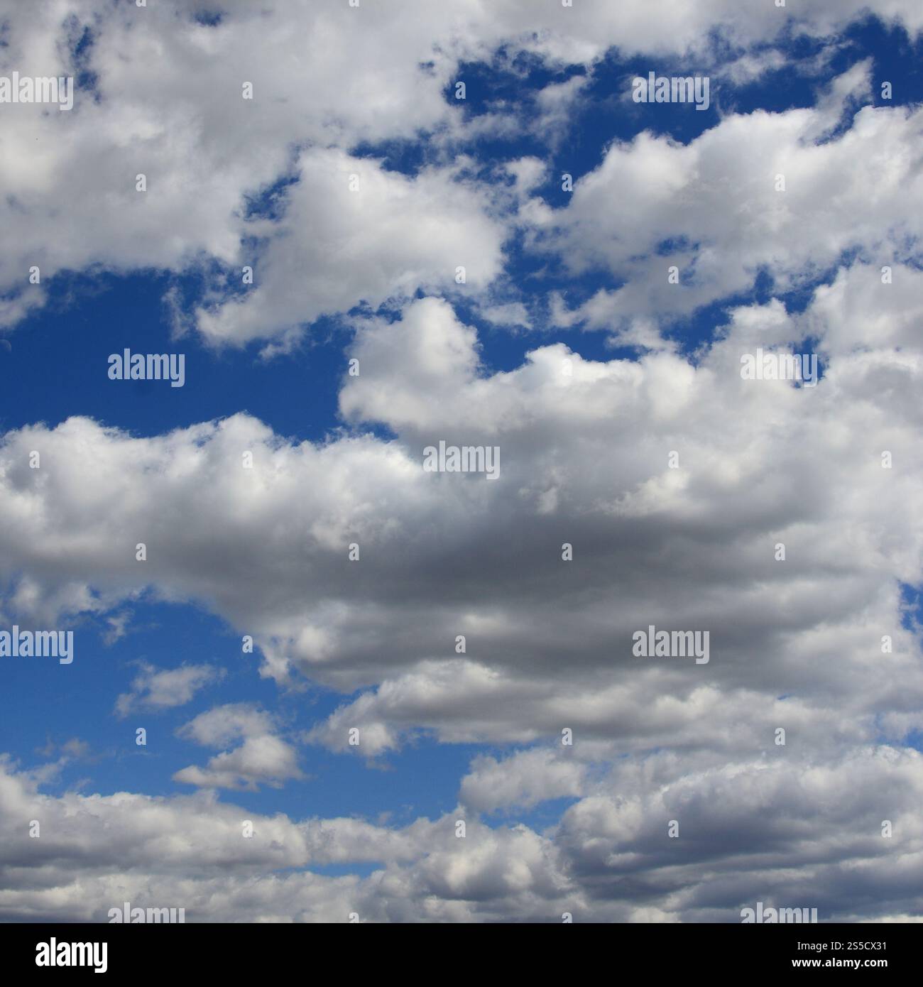 A blue sky with lots of white clouds of different sizes Stock Photo - Alamy