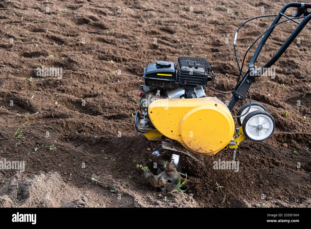 Hand Culitivation Machine A hand cultivator loosens the soil. Soil cultivation. Organic farming ...