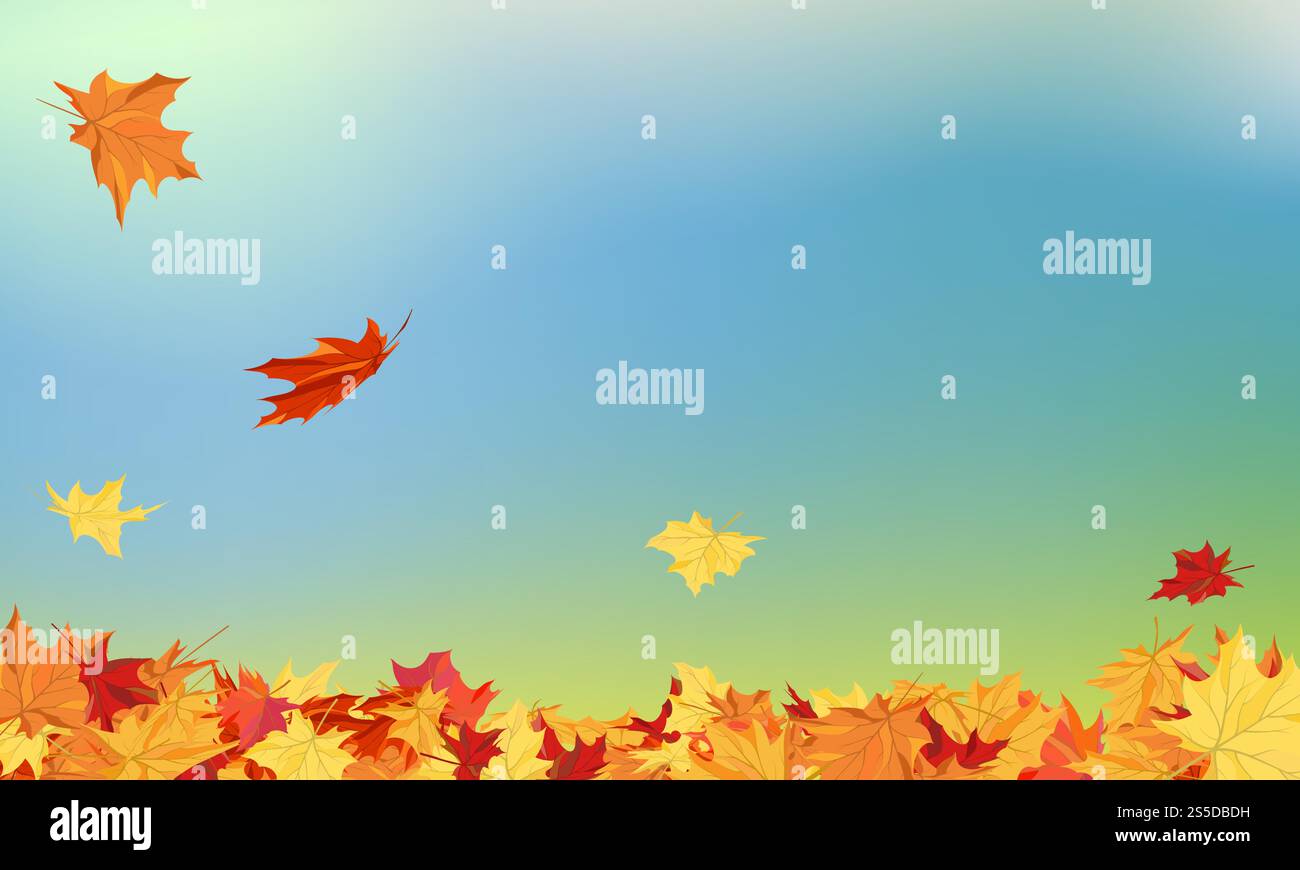 Fall (Autumn) Background With Maple Leaves. Vector Illustration Stock ...