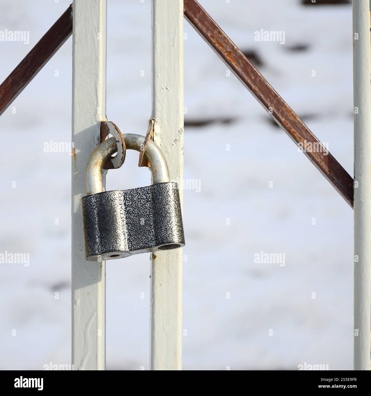 A large gray padlock hangs on a metal gate Stock Photo