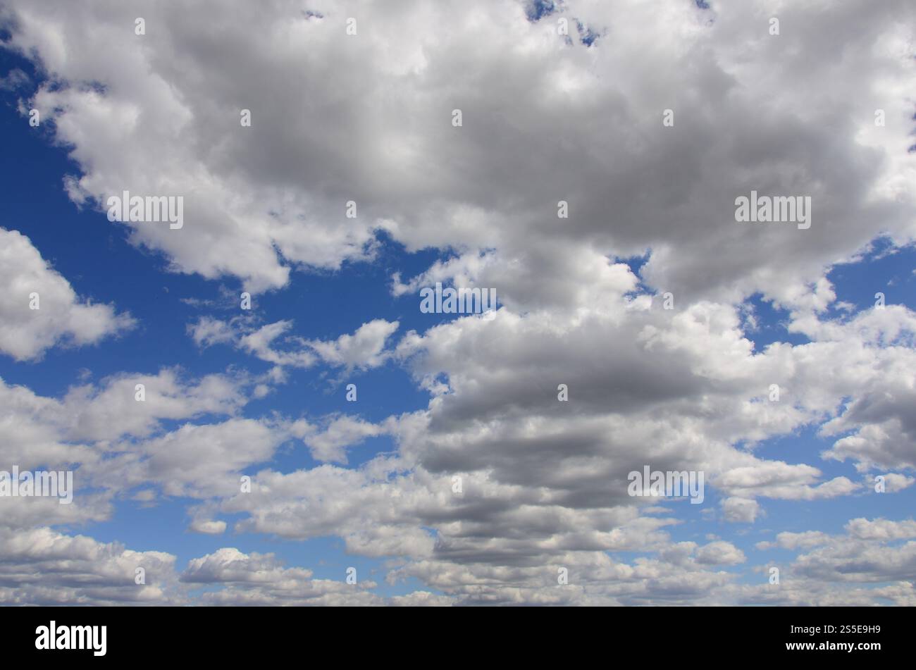 A blue sky with lots of white clouds of different sizes Stock Photo - Alamy