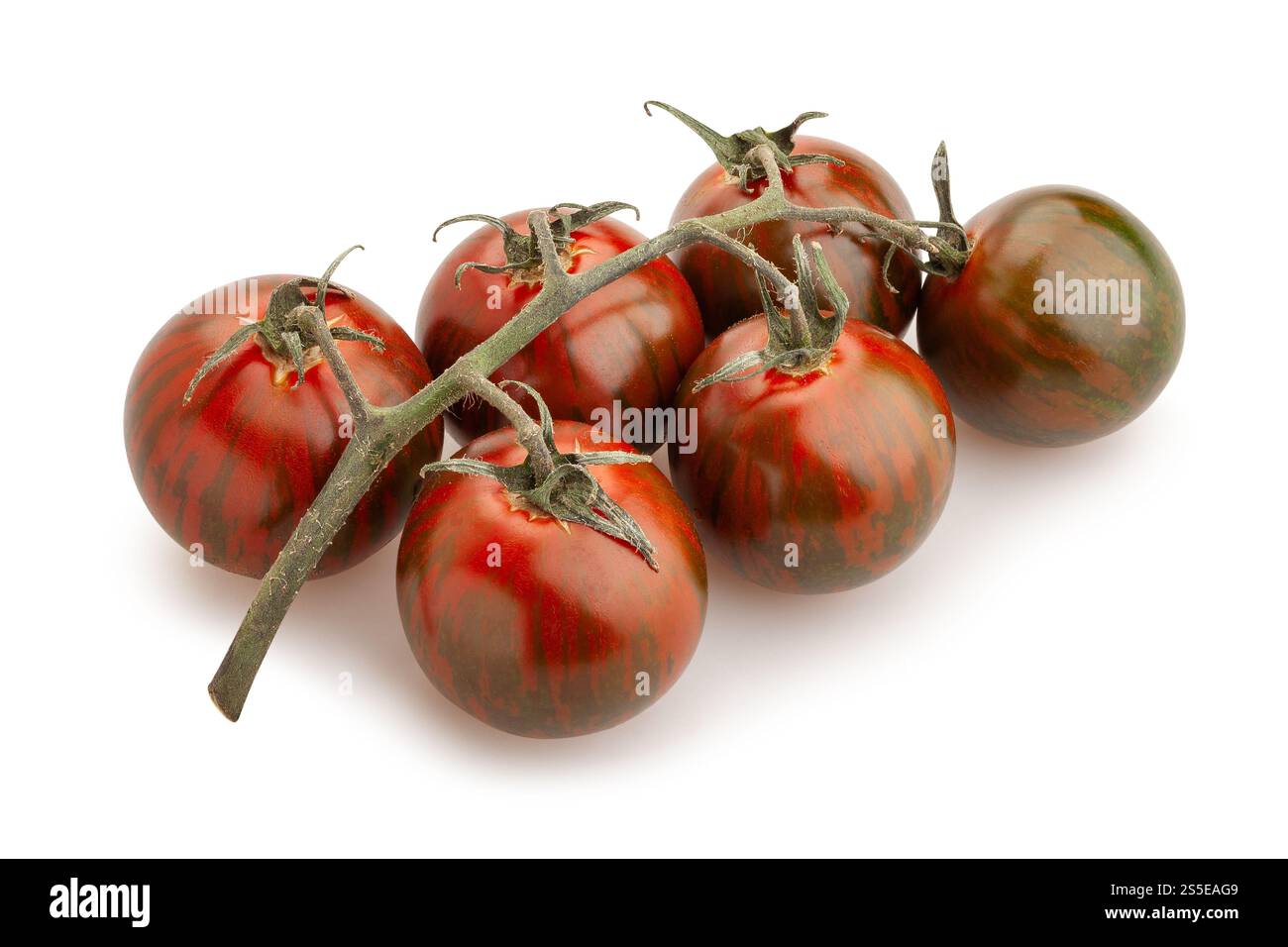 kumato cherry tomato branch path isolated on white Stock Photo