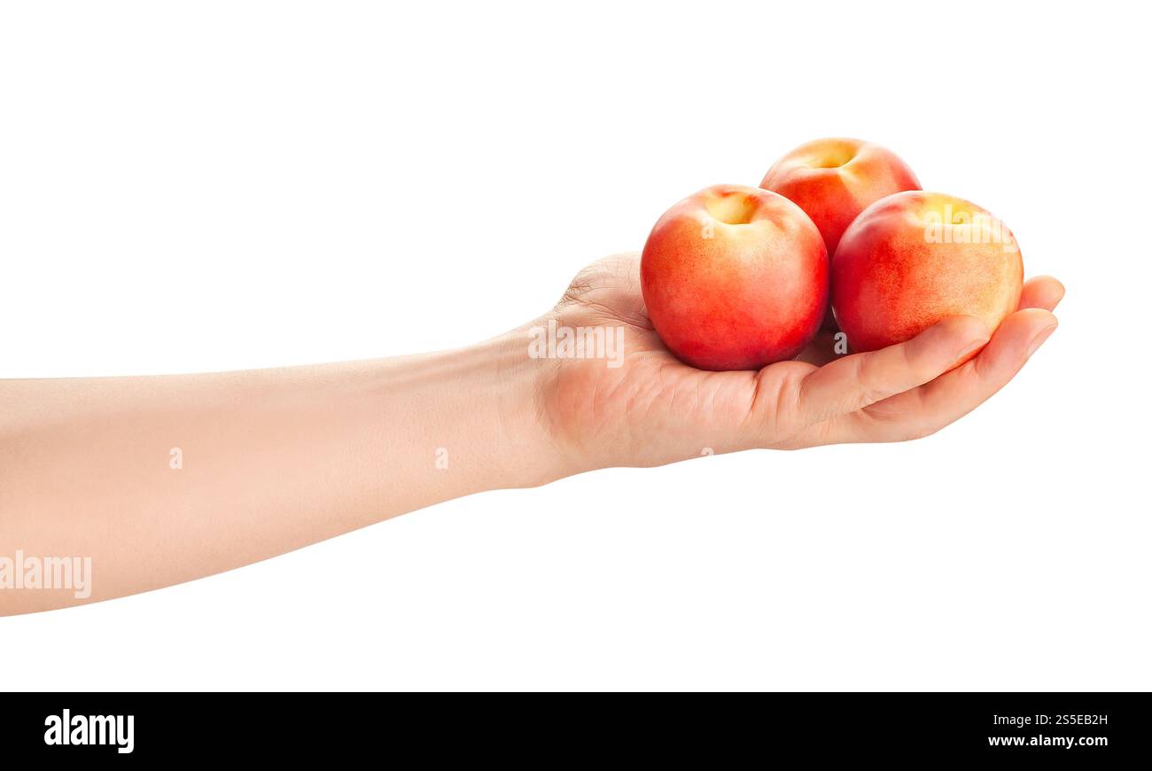 white nectarine in hand path isolated on white Stock Photo