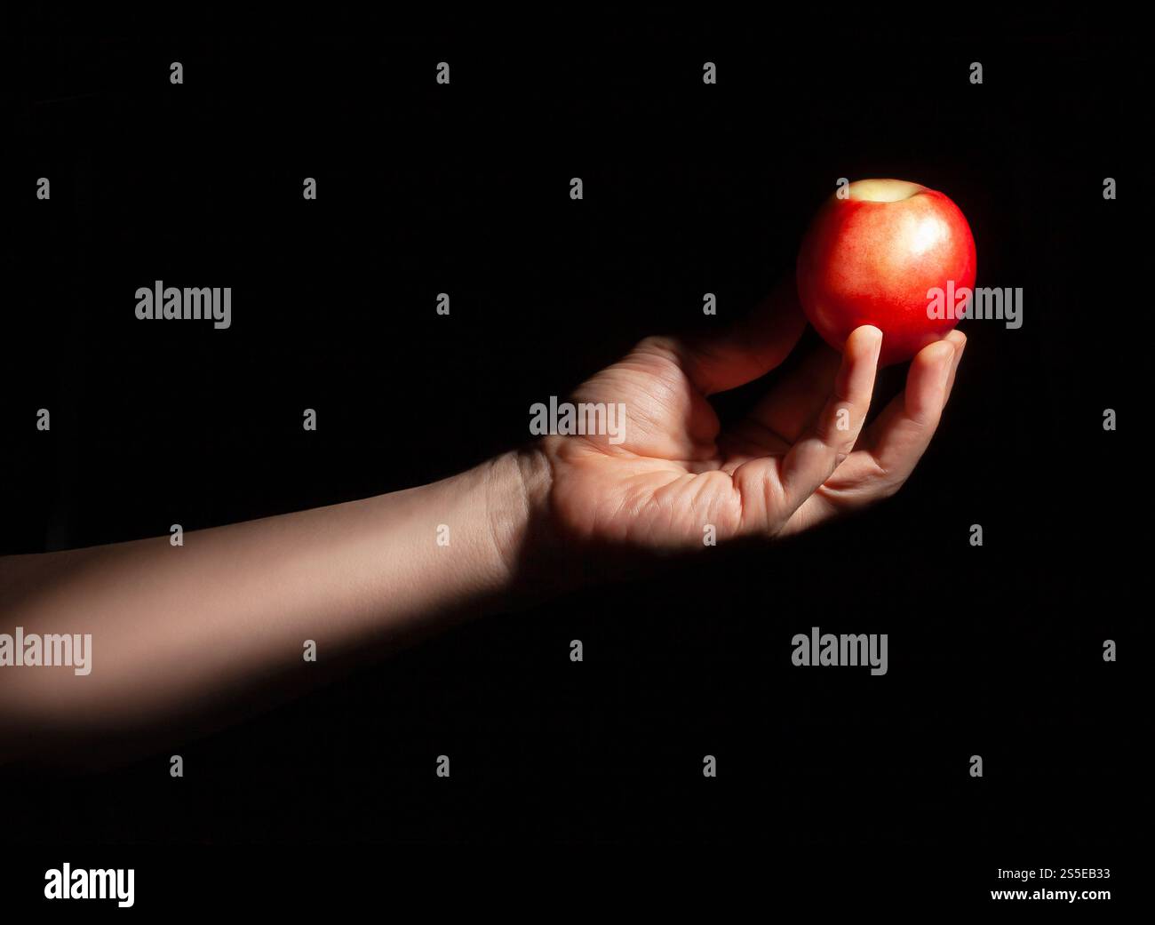 white nectarine in hand on black background Stock Photo