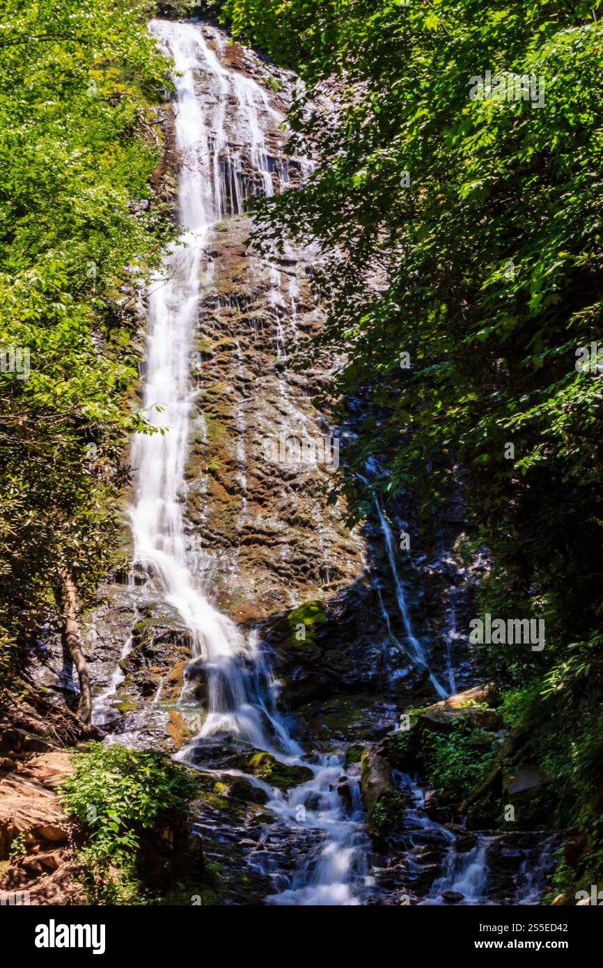 A waterfall is shown in a lush green forest. The water is flowing down ...