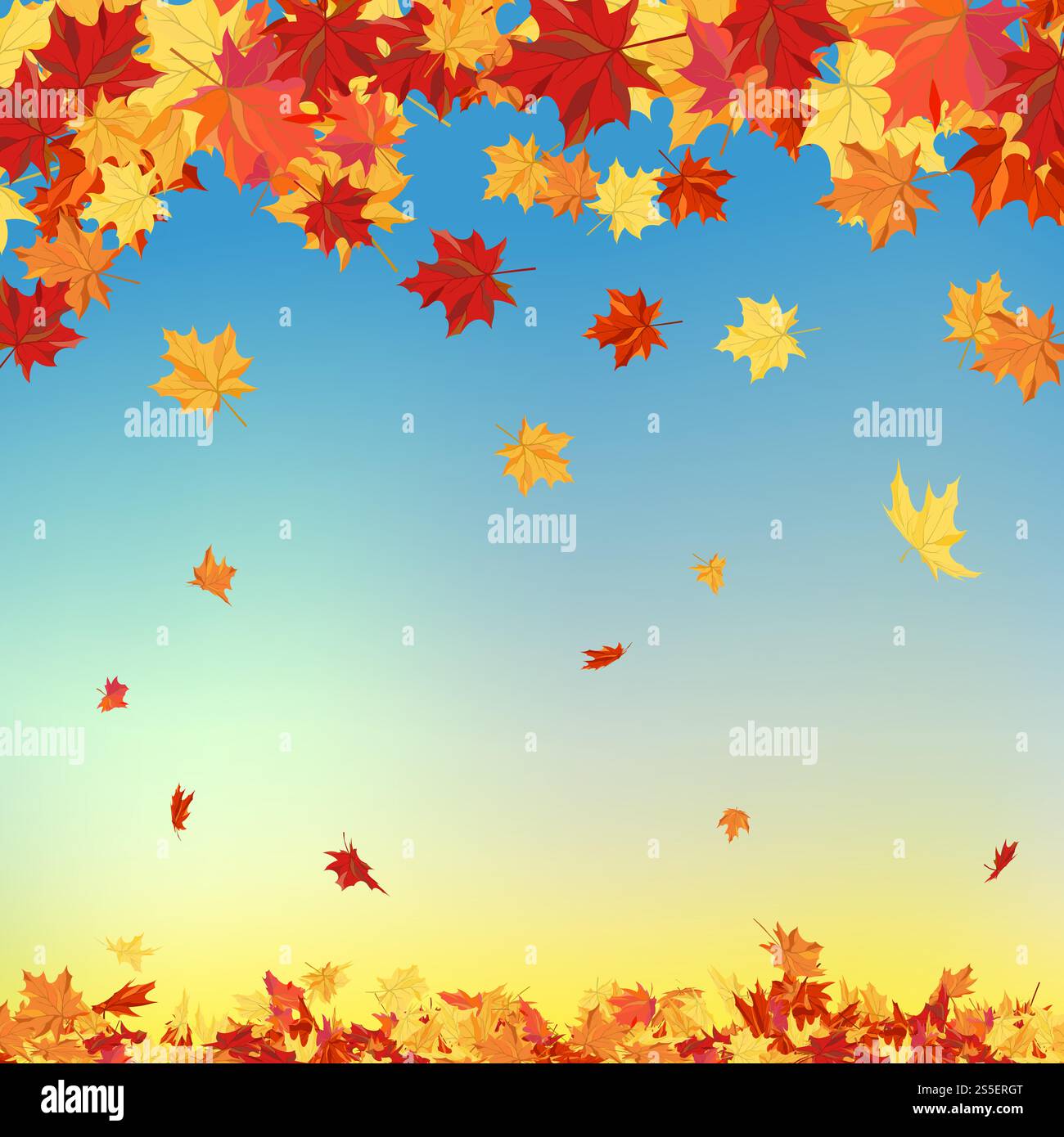 Fall (Autumn) Background With Maple Leaves. Vector Illustration Stock ...