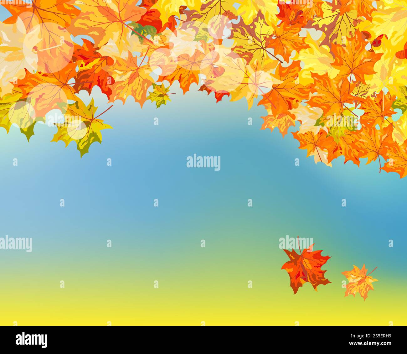 Fall (Autumn) Background With Maple Leaves. Vector Illustration Stock ...