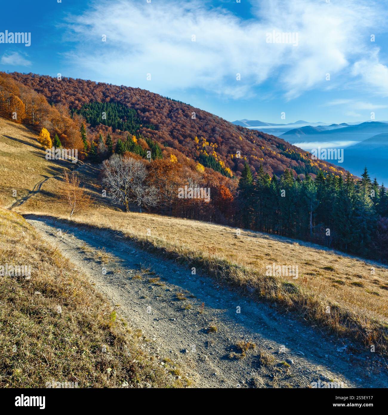Rural road in autumn mountain, colorful forest on slope and clouds between the peaks. Stock Photo