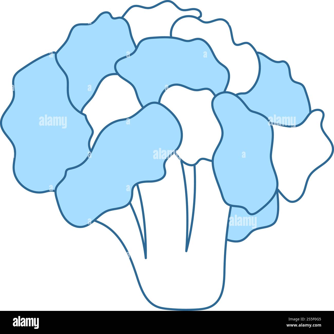 Cauliflower Icon. Thin Line With Blue Fill Design. Vector Illustration ...