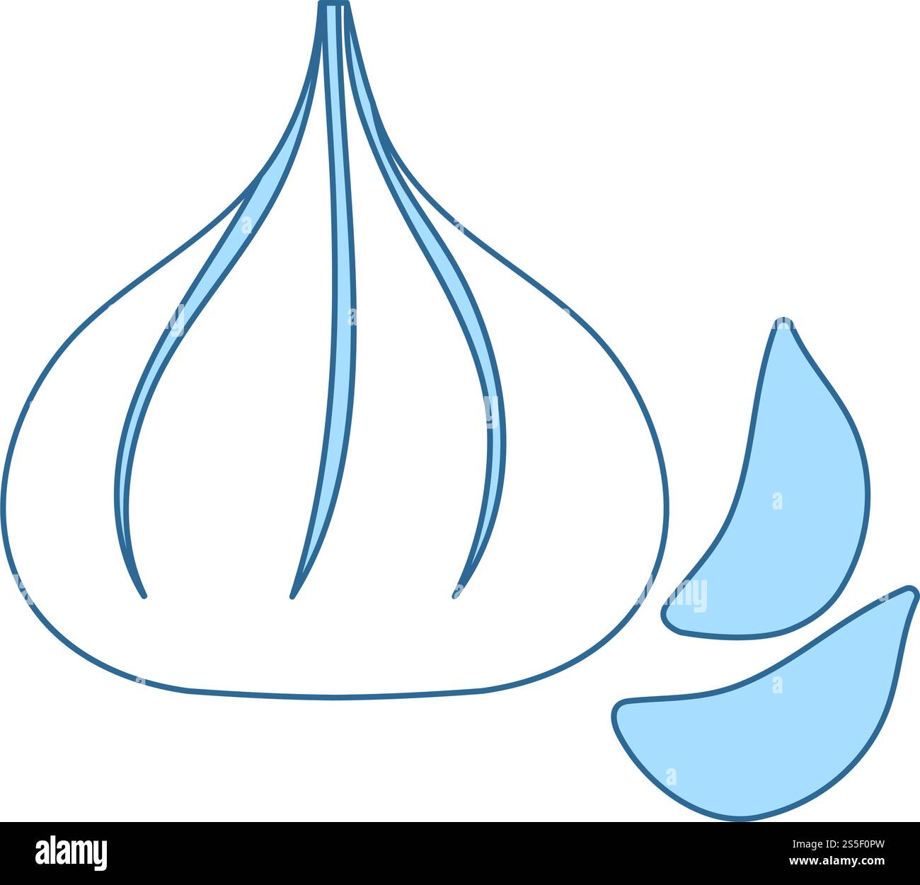 Garlic Icon. Thin Line With Blue Fill Design. Vector Illustration Stock ...
