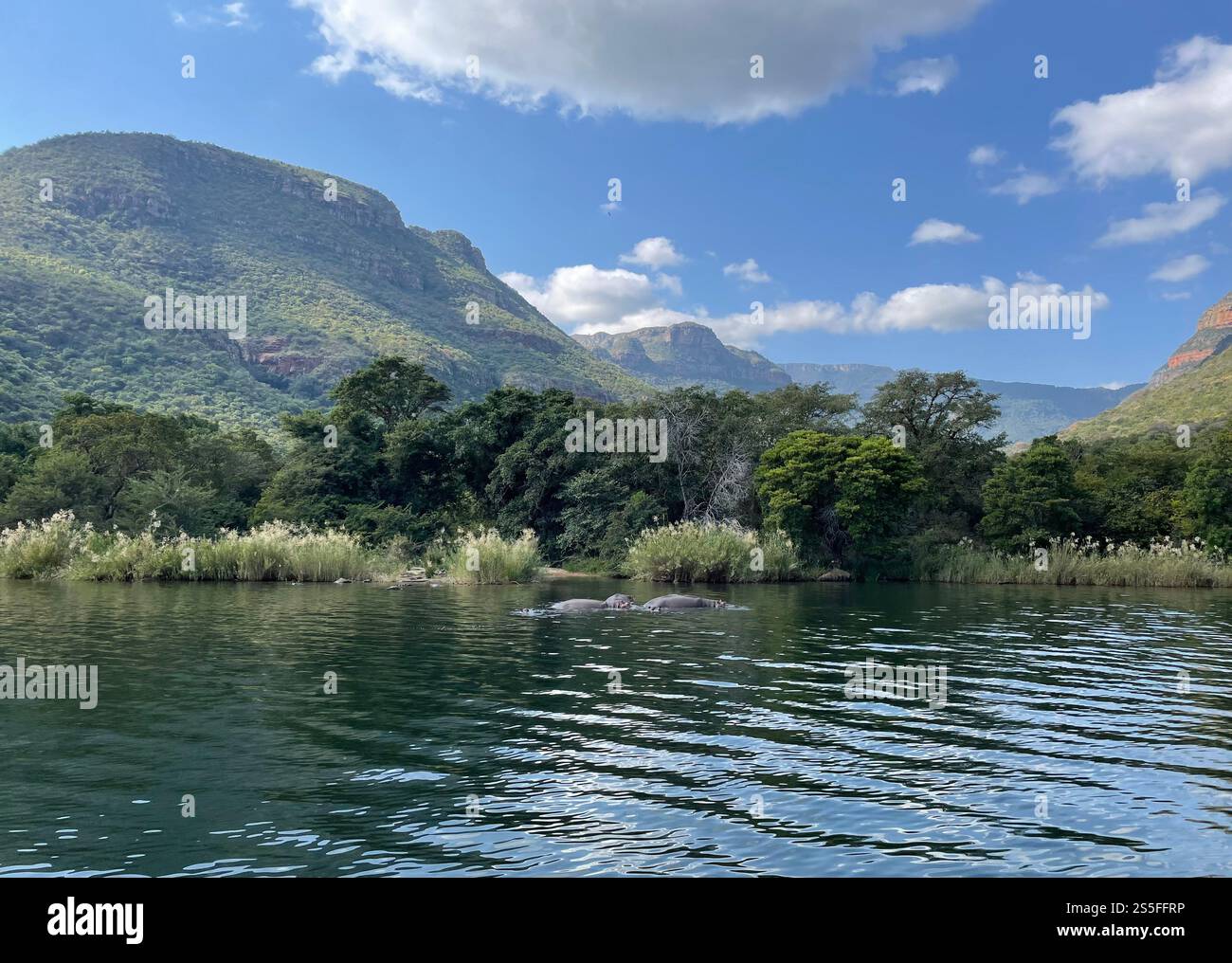 Boat Trip in the Blyde River Canyon - Smartphone Captured Stock Image
