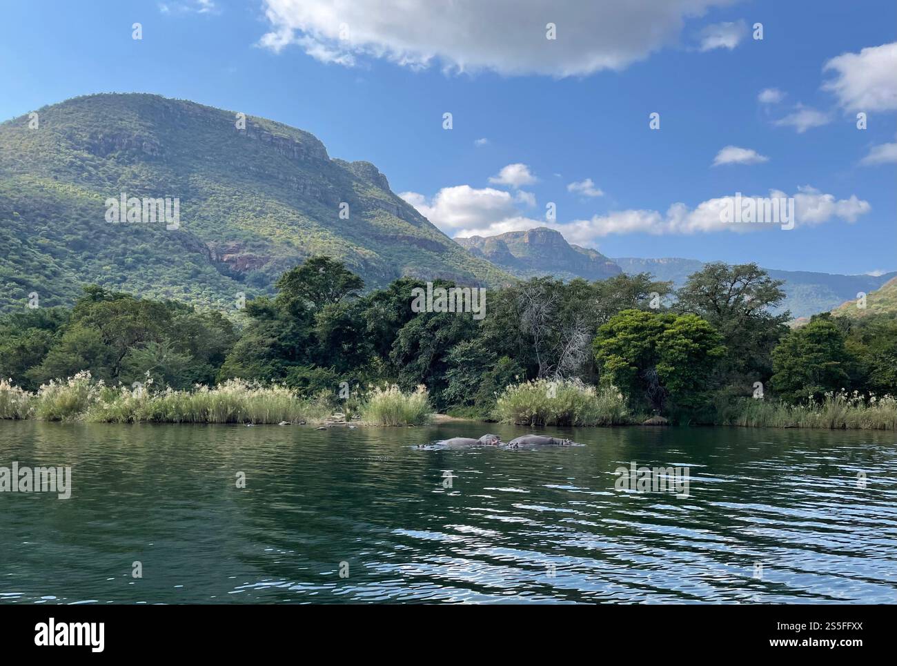 Boat Trip in the Blyde River Canyon - Smartphone Captured Stock Image