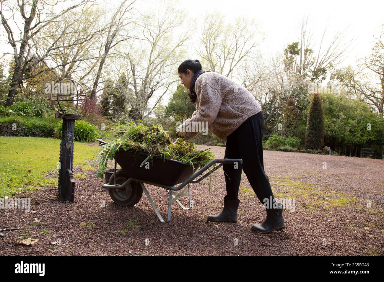 Woman in sweater and boots pushing a wheelbarrow full of grass clippings in a garden, Auckland, New Zealand Stock Photo