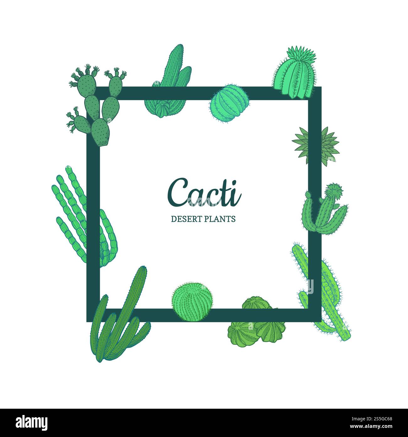 Vector hand drawn desert cacti plants flying around frame with place ...