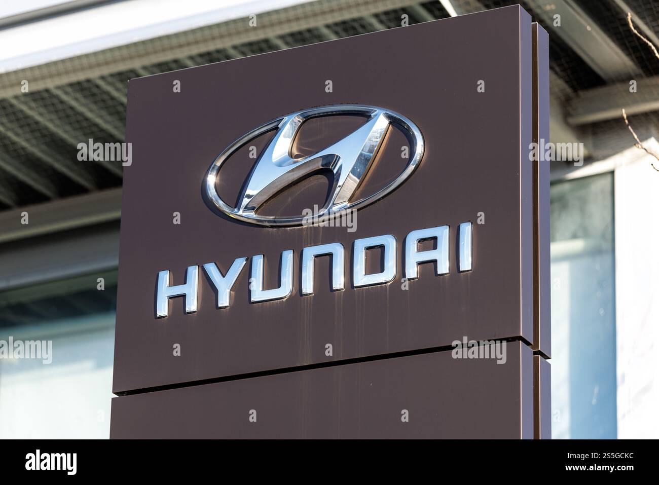 Munich, Germany. 14th Jan, 2025. The brand logo of the Hyundai Motor ...