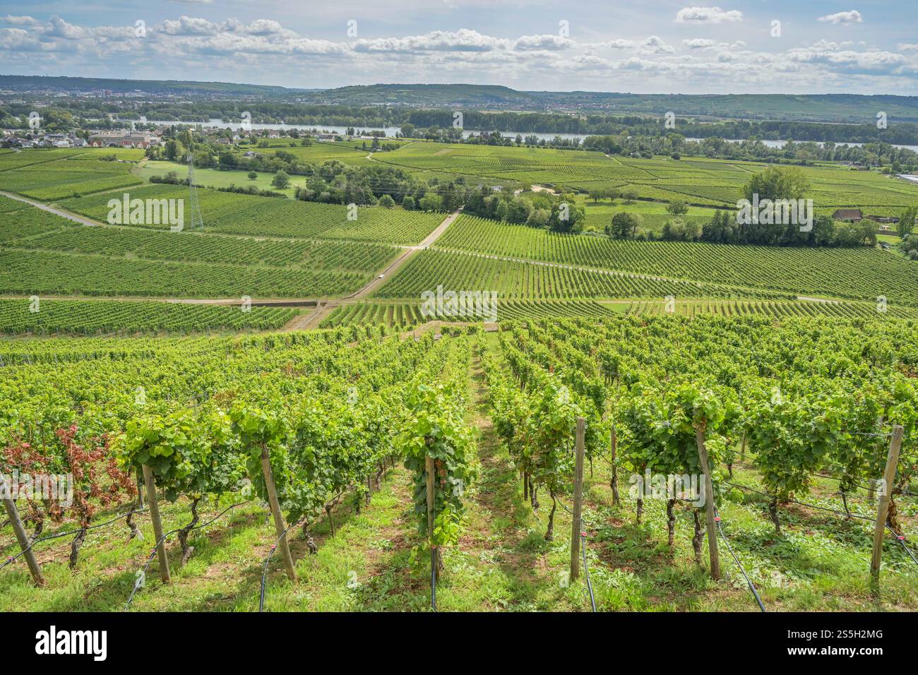 Blick winkel hi-res stock photography and images - Alamy