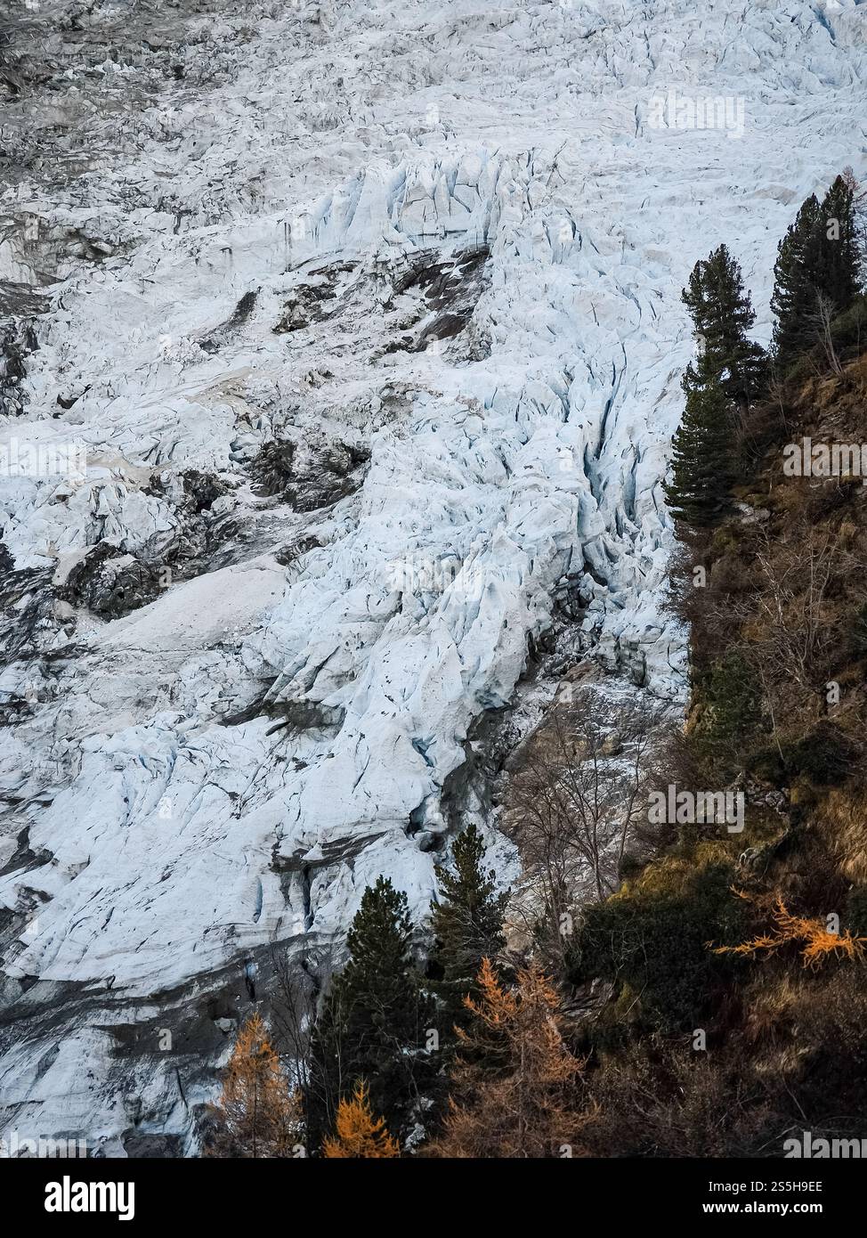 Tirage Photo Vintage Argentique - Le Glacier Des Bossons Et Chalet (France, Vers 1880) - Format 16x22cm