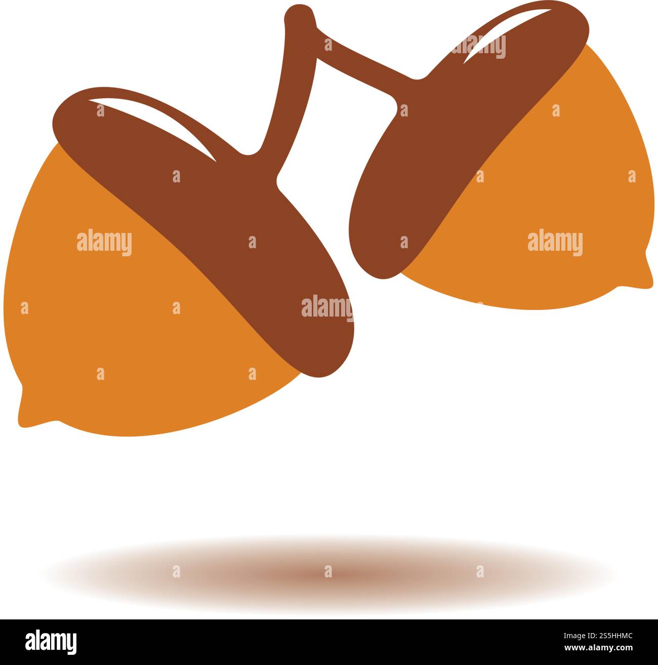Acorn logo ilustration vector template Stock Vector