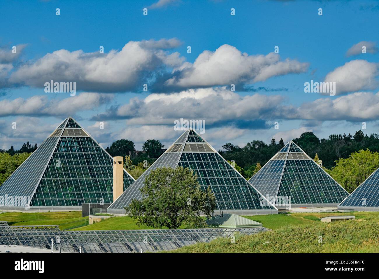 Glass pyramids muttart conservatory edmonton hi-res stock photography ...