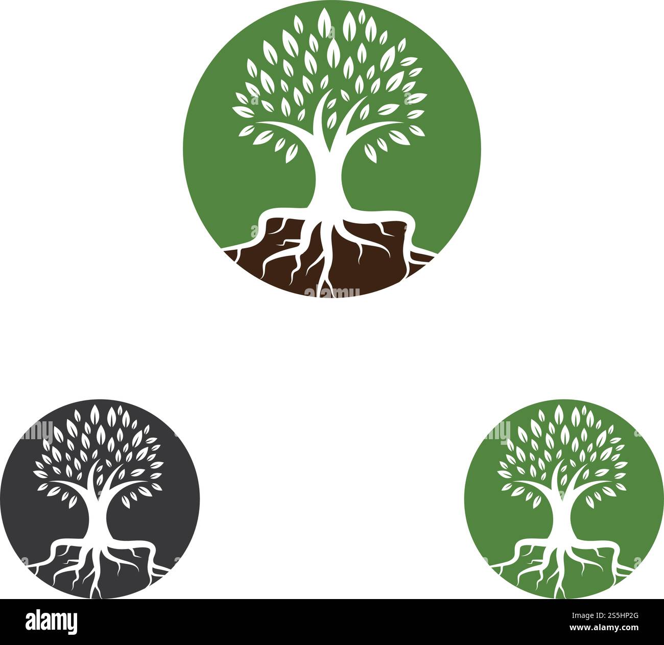 Tree icon logo template vector illustration Stock Vector Image & Art - Alamy