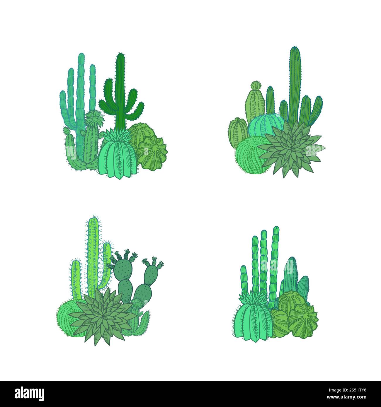 Vector hand drawn desert cacti plants piles set isolated on white ...