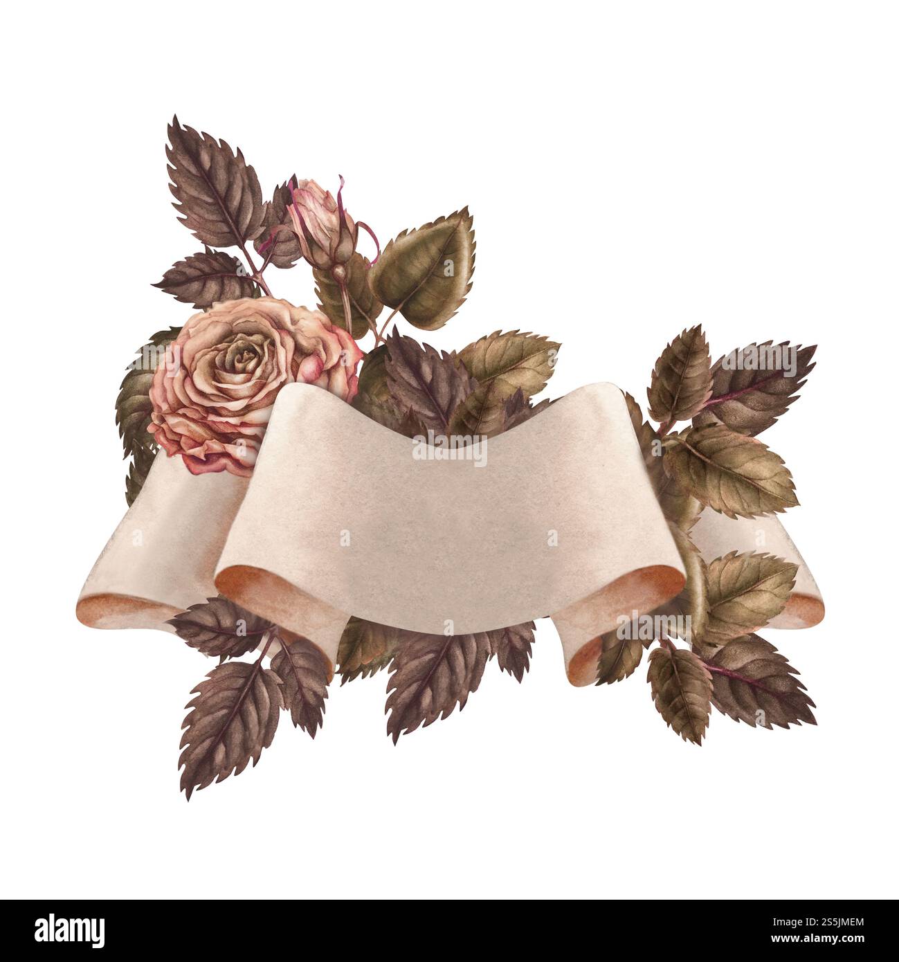 Paper Roses Banner Beige empty paper ribbon banner with pink roses and green leaves ...