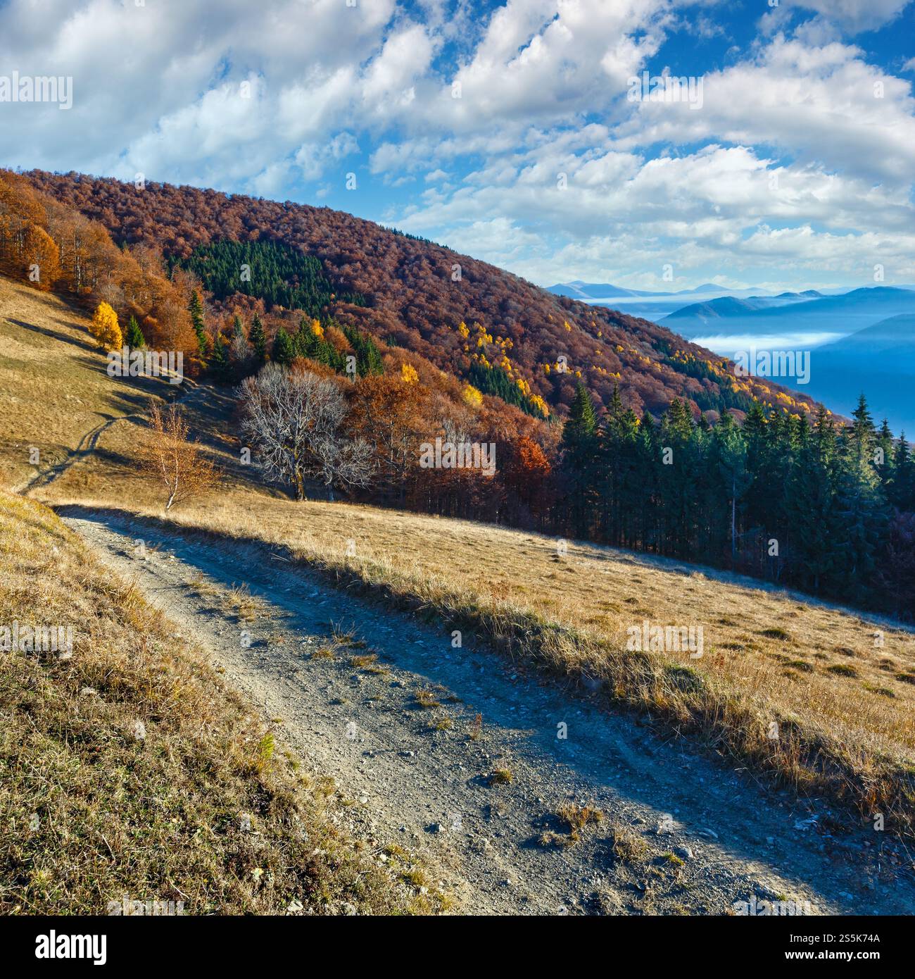 Rural road in autumn mountain, colorful forest on slope and clouds between the peaks. Stock Photo