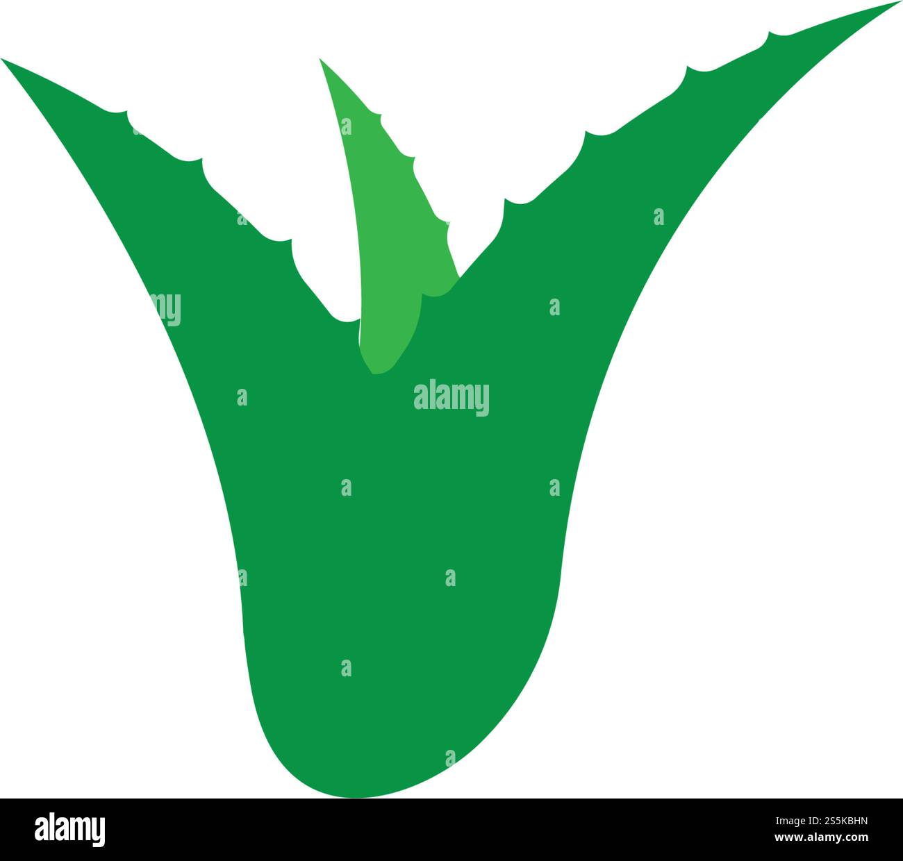 Aloe vera logo vector ilustration template Stock Vector