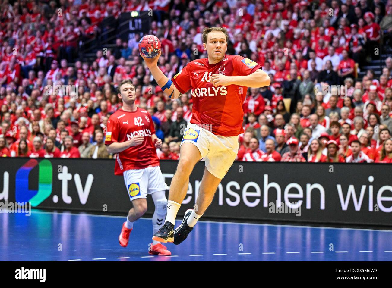 Simon Bogetoft Pytlick of Danmark during IHF Men's Handball World