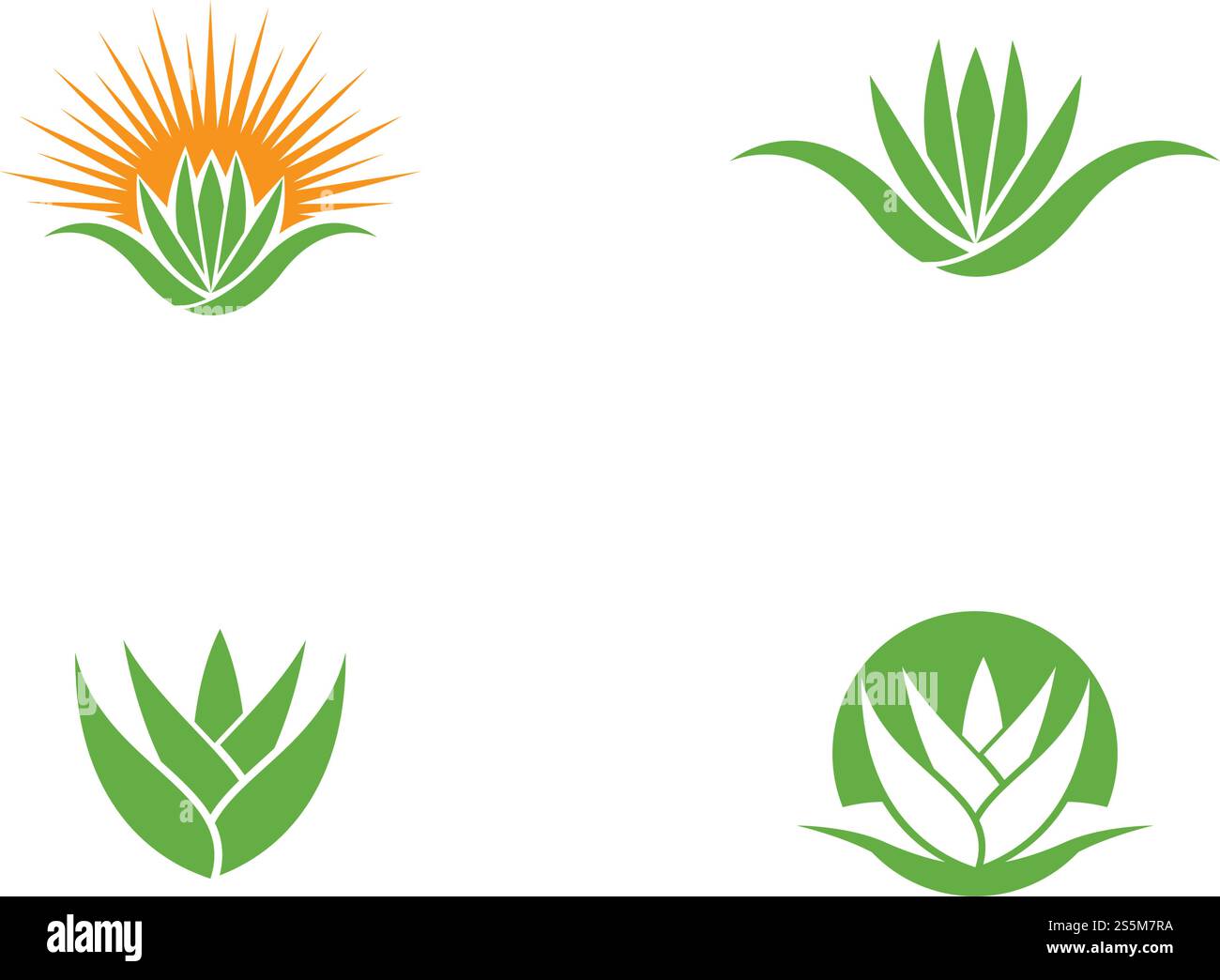 Aloe vera logo vector ilustration template Stock Vector