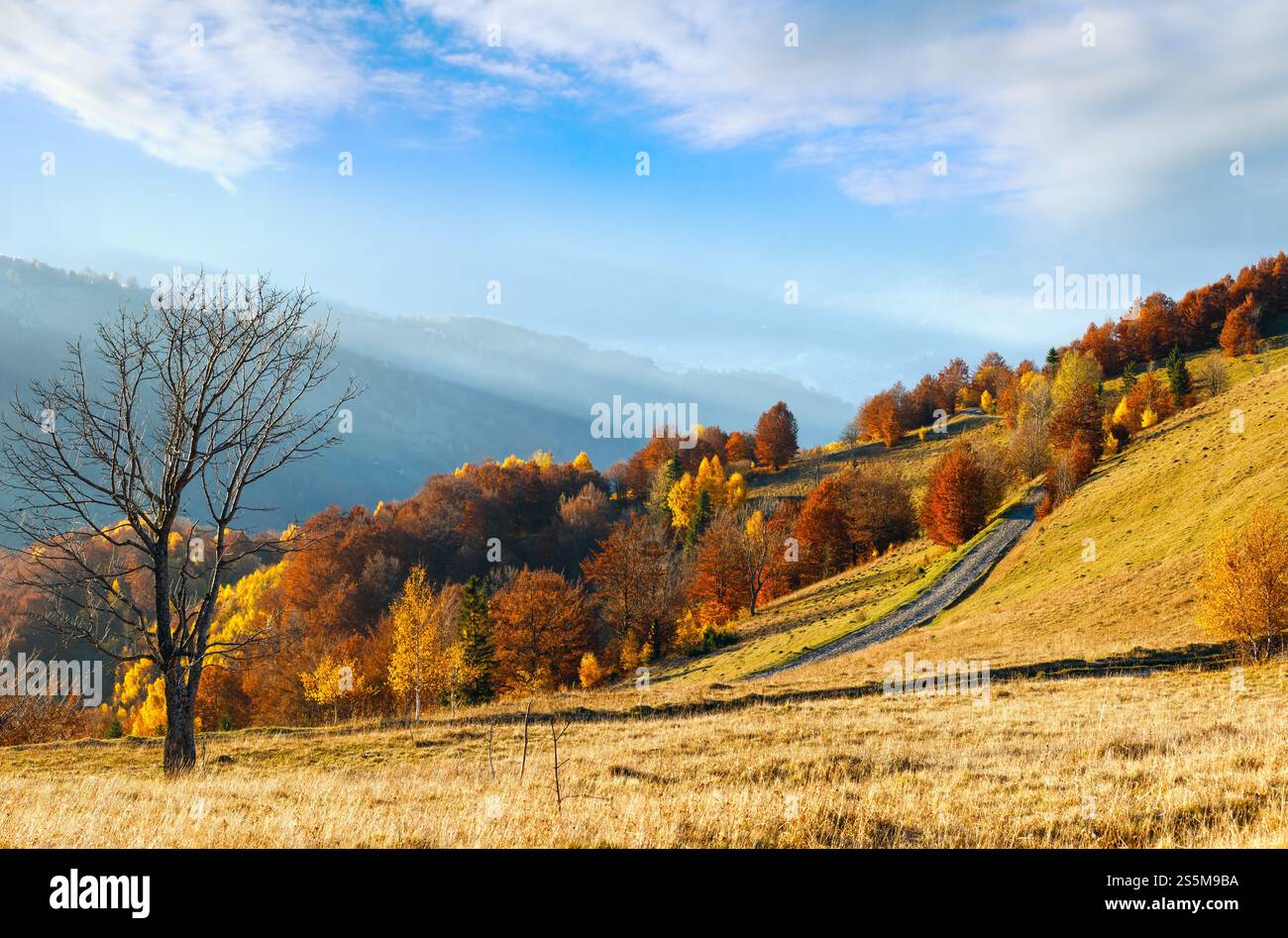 Rural road in autumn misty mountain, colorful trees on slope and ...