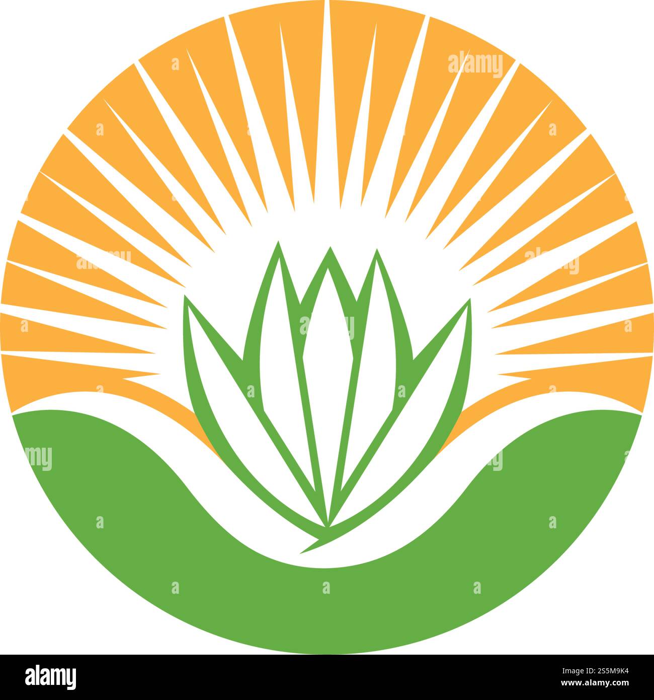 Aloe vera logo vector ilustration template Stock Vector
