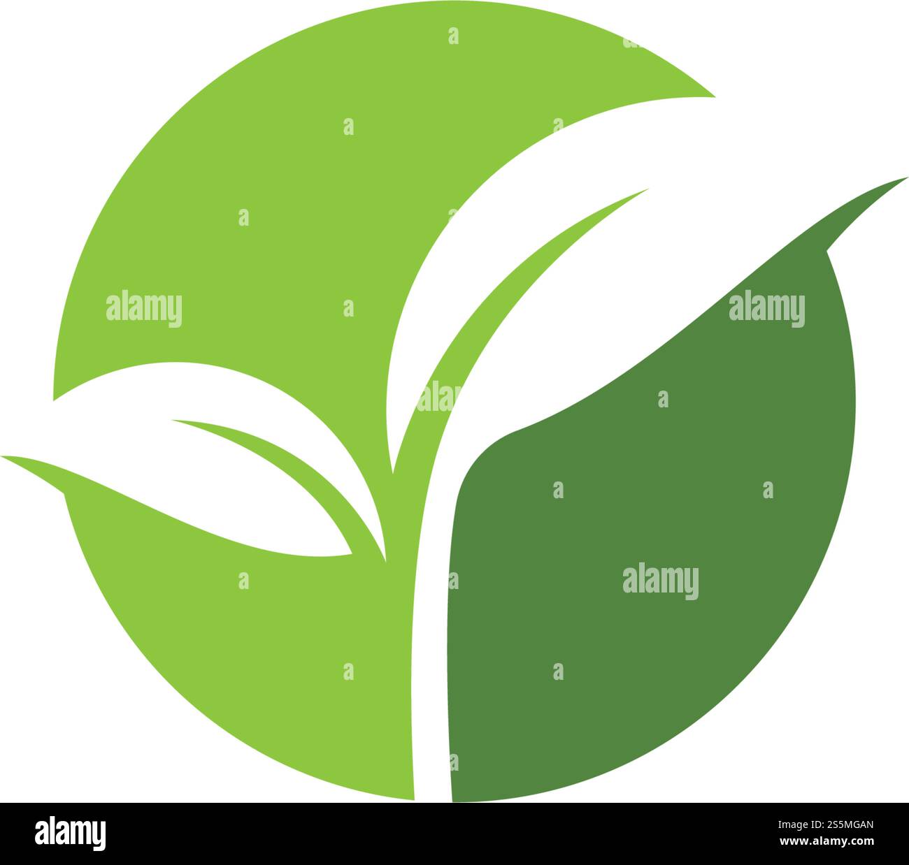 Logos of green leaf ecology nature element vector icon Stock Vector ...