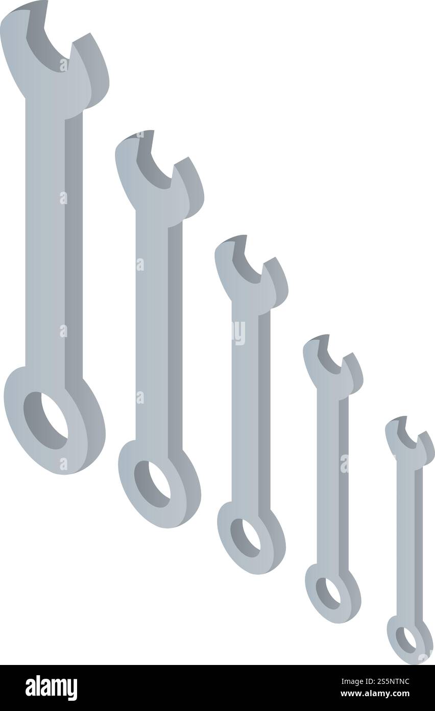 Set tool key icon. Isometric of set tool key vector icon for web design ...