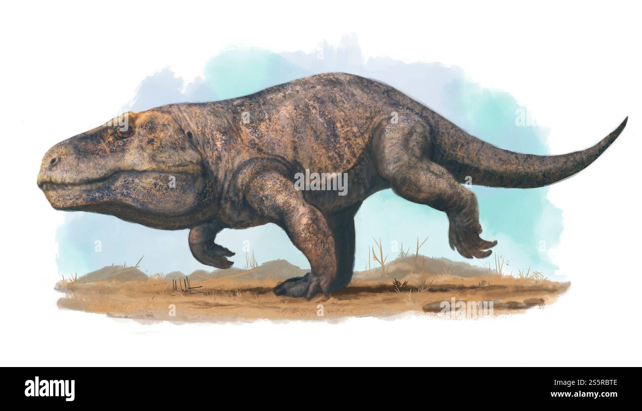Illustration of the prehistoric reptile Erythrosuchus africanus running ...